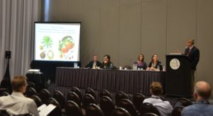 Image from the panel at the OAH annual meeting in St. Louis, 2015.